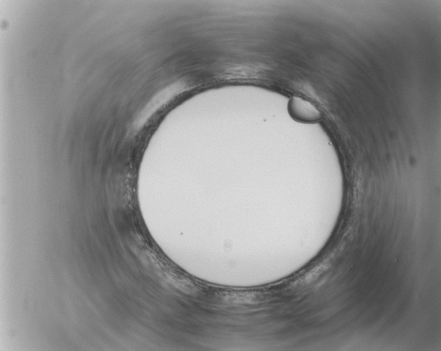 X0000054431211200508262339