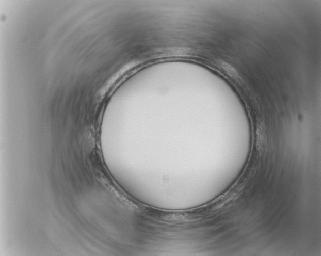 X0000054431212200508262339