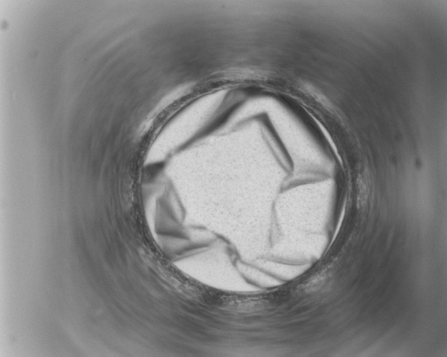 X0000054431213200508262339