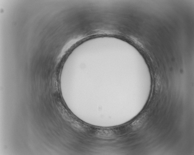 X0000054431215200508262339