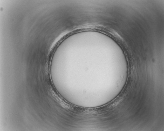 X0000054431216200508262339