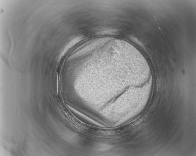 X0000054431219200508262339