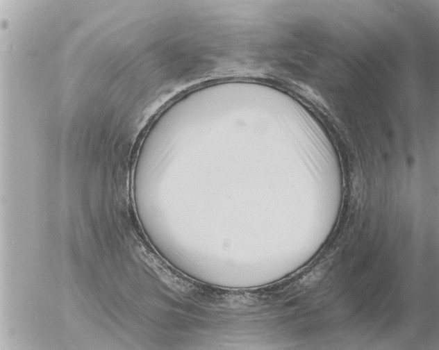 X0000054431220200508262339