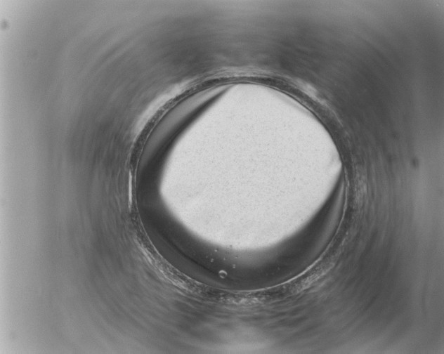 X0000054431221200508262339