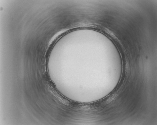 X0000054431222200508262339