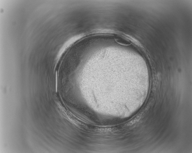 X0000054431223200508262339