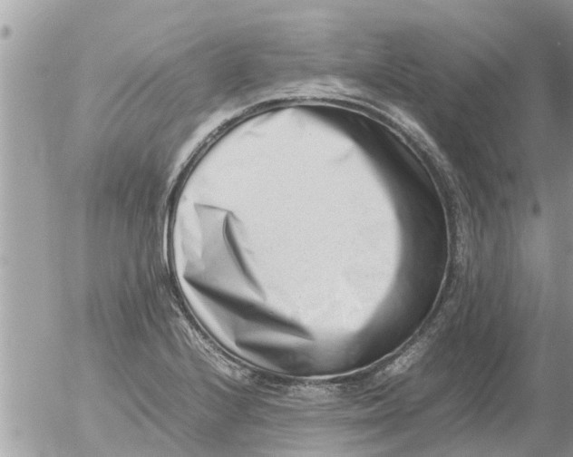 X0000054431224200508262339