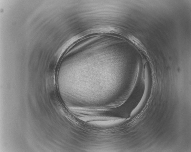 X0000054431226200508262339