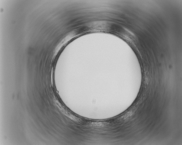 X0000054431227200508262339