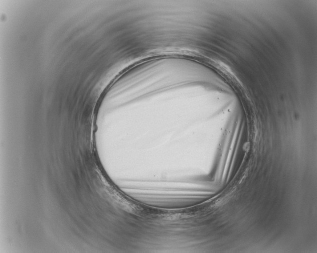 X0000054431228200508262339