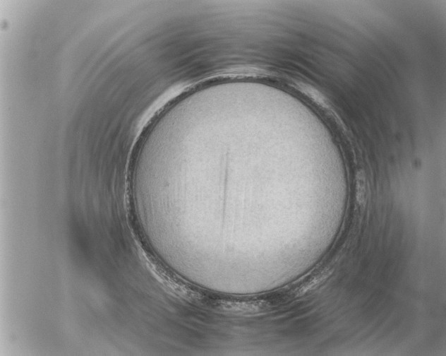 X0000054431229200508262339