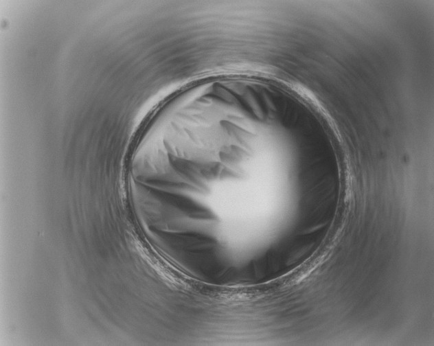 X0000054431230200508262339