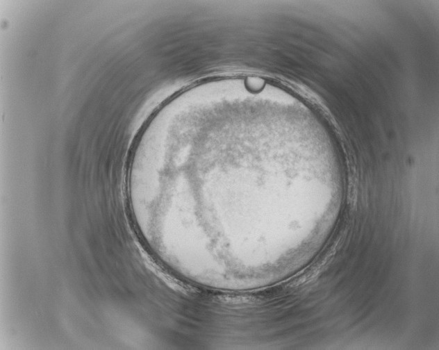 X0000054431231200508262339