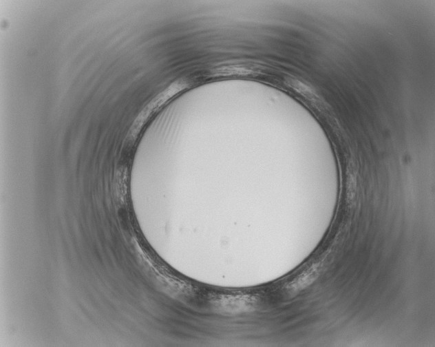 X0000054431233200508262339