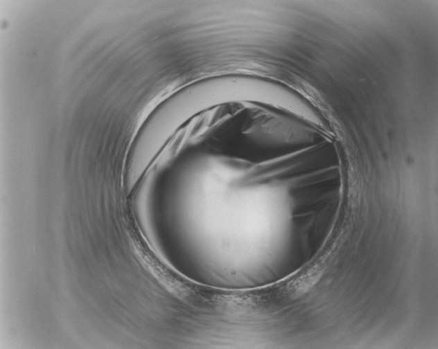 X0000054431234200508262339