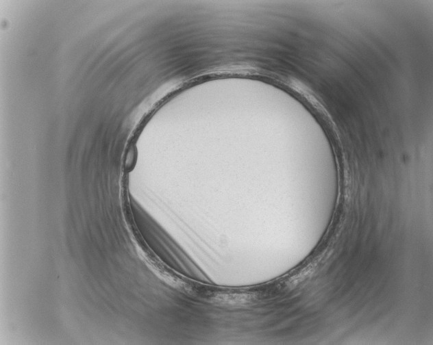 X0000054431237200508262339