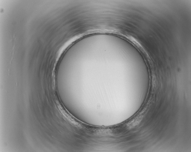 X0000054431238200508262339