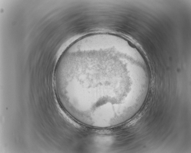 X0000054431239200508262339