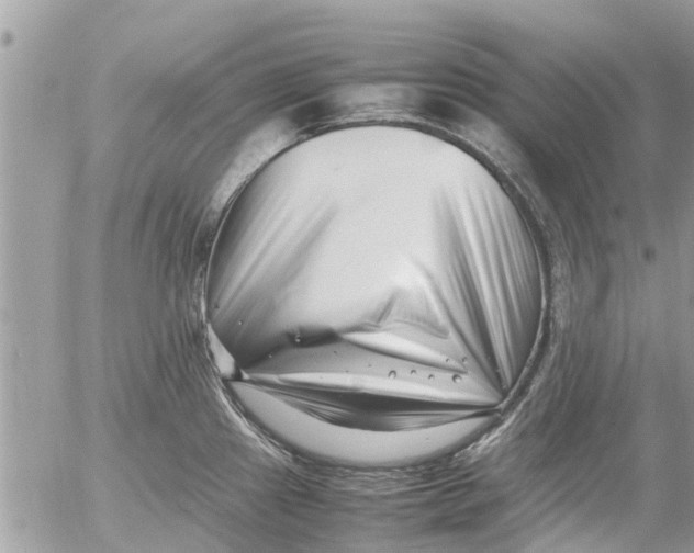 X0000054431241200508262339