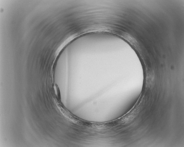 X0000054431242200508262339