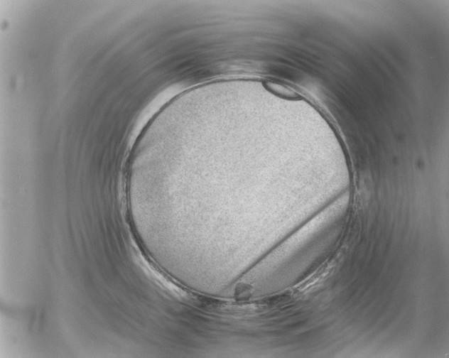 X0000054431243200508262339