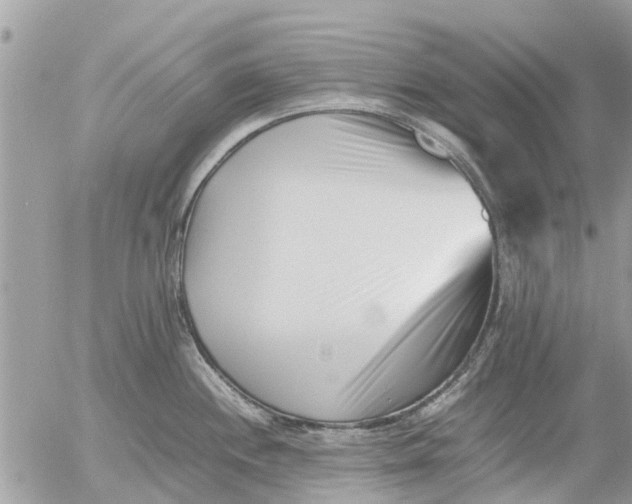 X0000054431244200508262339