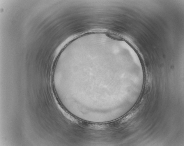 X0000054431245200508262339