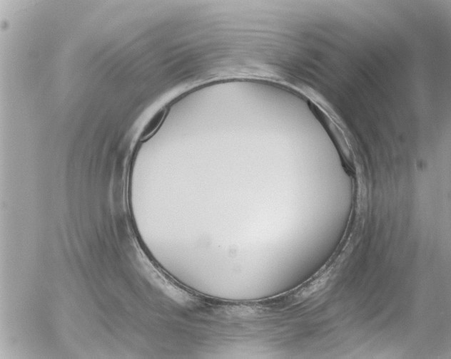 X0000054431246200508262339