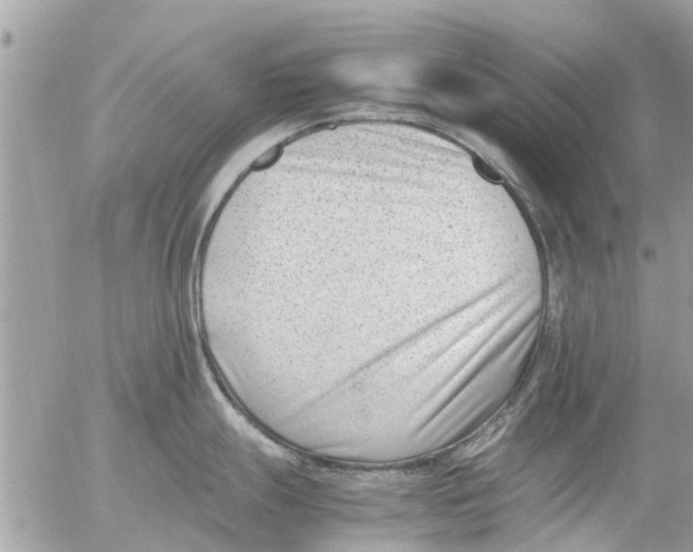 X0000054431247200508262339