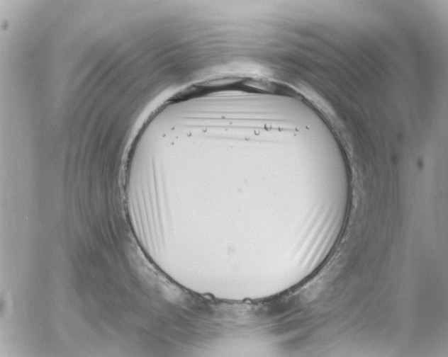 X0000054431248200508262339