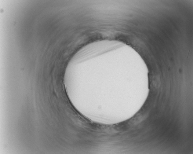 X0000054431249200508262339