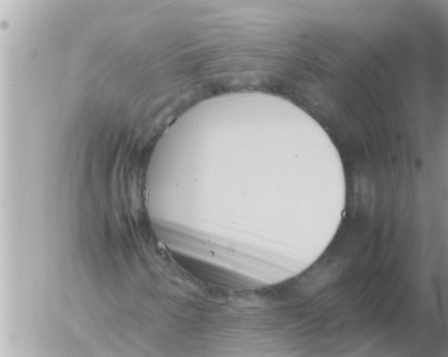 X0000054431250200508262339