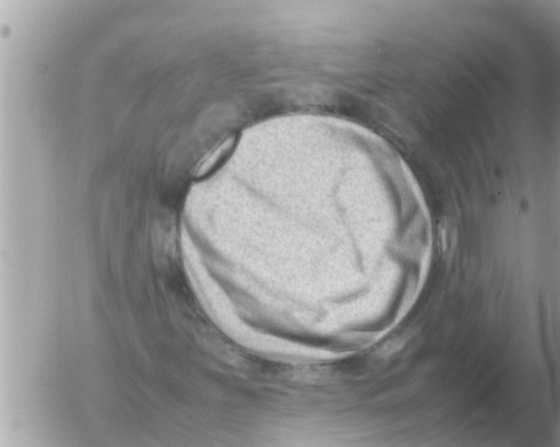 X0000054431251200508262339