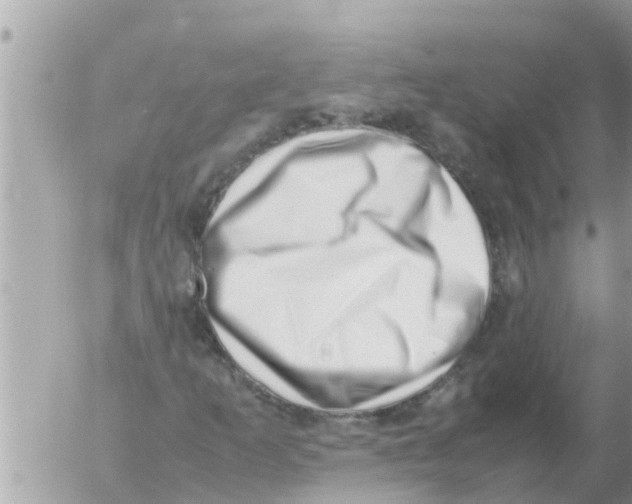 X0000054431253200508262338