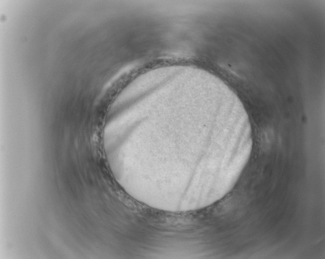 X0000054431254200508262338