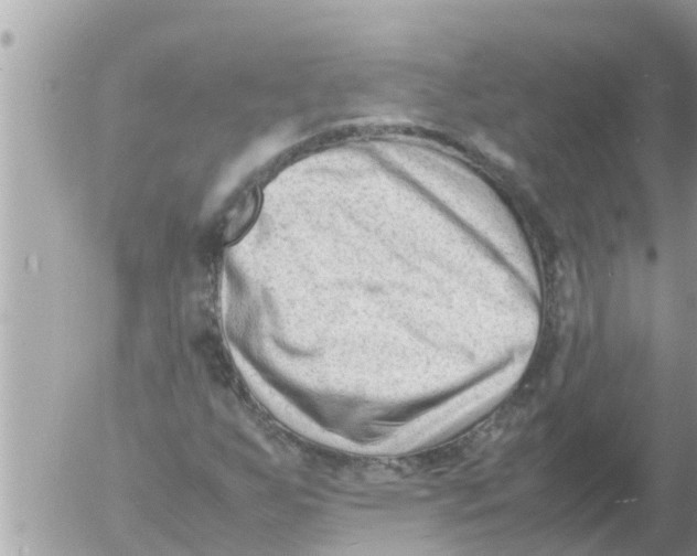 X0000054431255200508262338