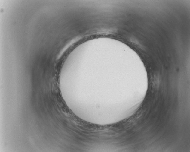 X0000054431256200508262338