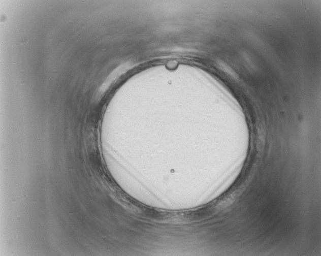 X0000054431259200508262338