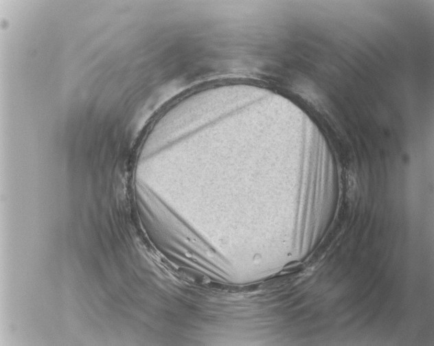 X0000054431260200508262338