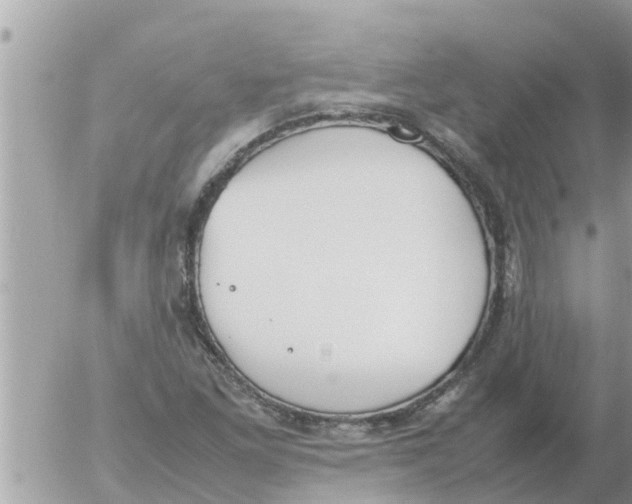 X0000054431261200508262338