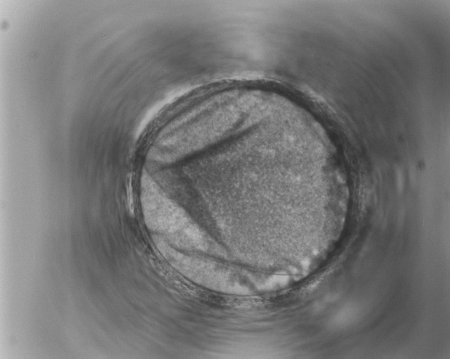 X0000054431262200508262338