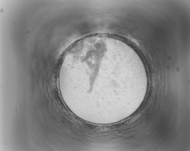 X0000054431263200508262338