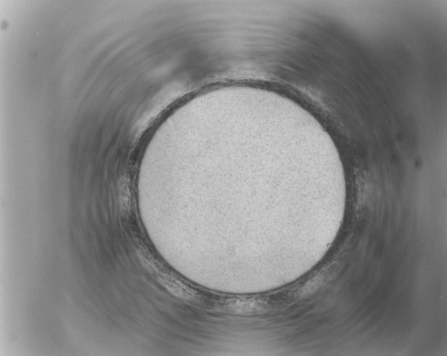 X0000054431266200508262338