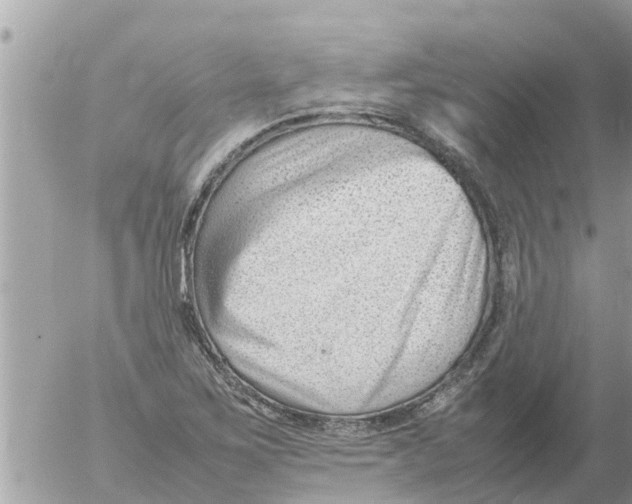 X0000054431267200508262338