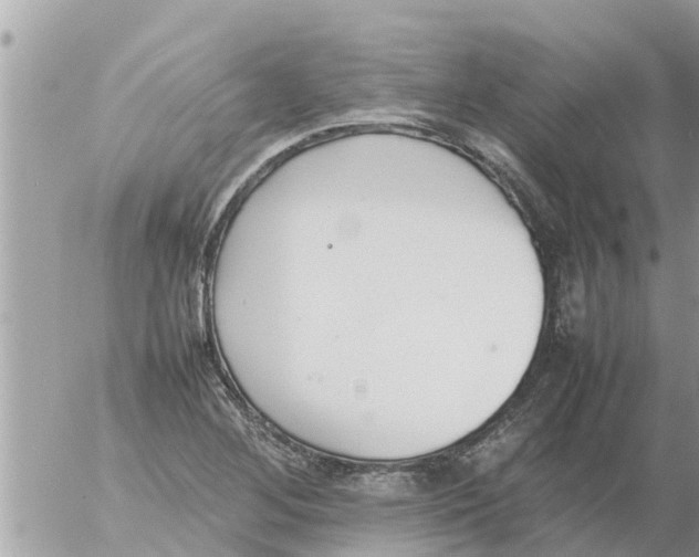 X0000054431268200508262338