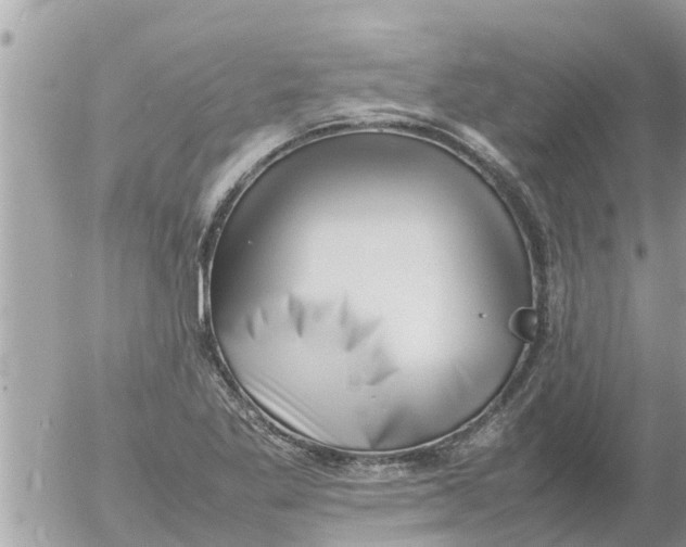 X0000054431269200508262338