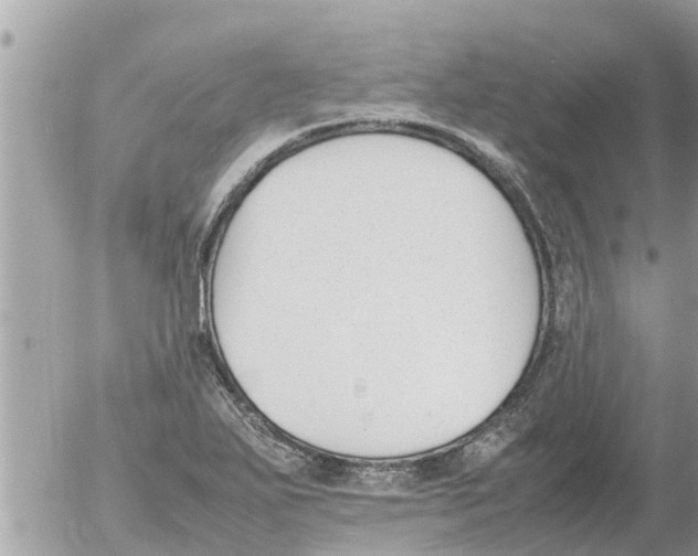 X0000054431271200508262338