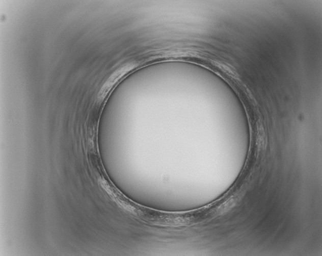 X0000054431273200508262338