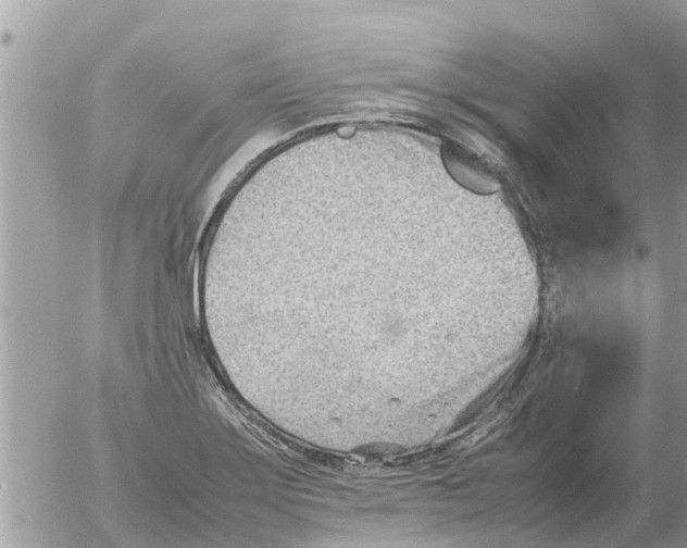 X0000054431275200508262338