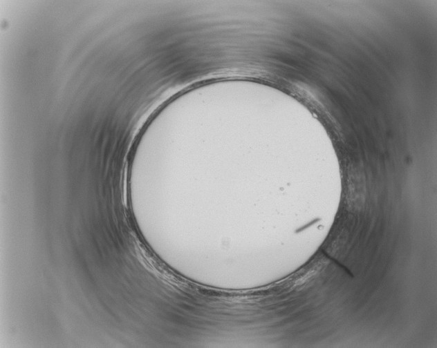 X0000054431276200508262338